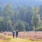 Domek alpejski Bos Natura - Rust En Op De Veluwe Putten
