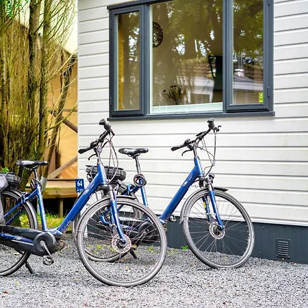 Bos Chalet Natura - Veluwe Putten - naast Saunadrome - 2 gratis e bikes Chalet Putten