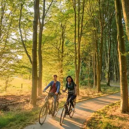 Chalet Bos Natura Veluwe Naast Saunadrome