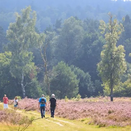 Chalet Bos Natura Veluwe Naast Saunadrome Putten