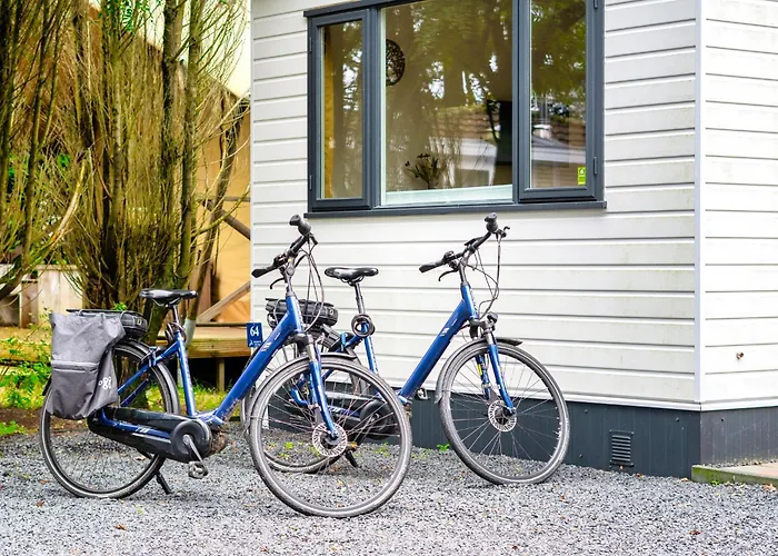 Bos Chalet Natura - Veluwe Putten - naast Saunadrome - 2 gratis e bikes Chalet Putten