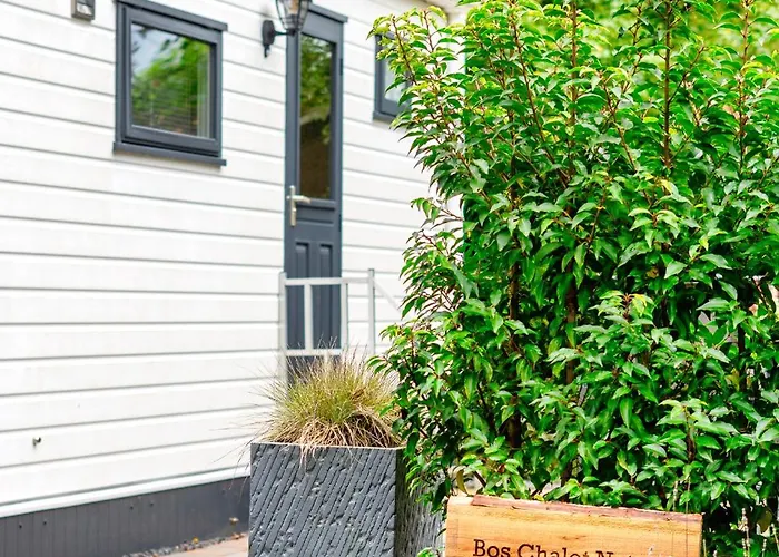 Chalet Bos Chalet Natura - Veluwe Putten - naast Saunadrome - 2 gratis e bikes