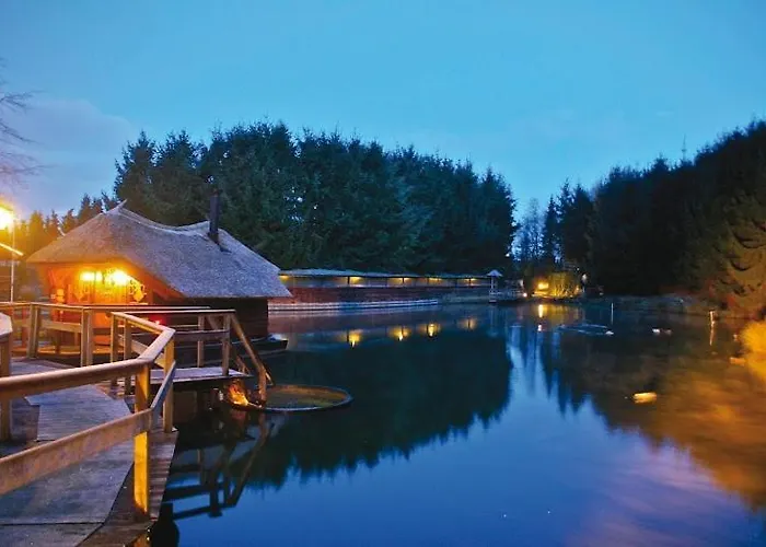 Bos Chalet Natura - Veluwe Putten - naast Saunadrome - 2 gratis e bikes Chalet