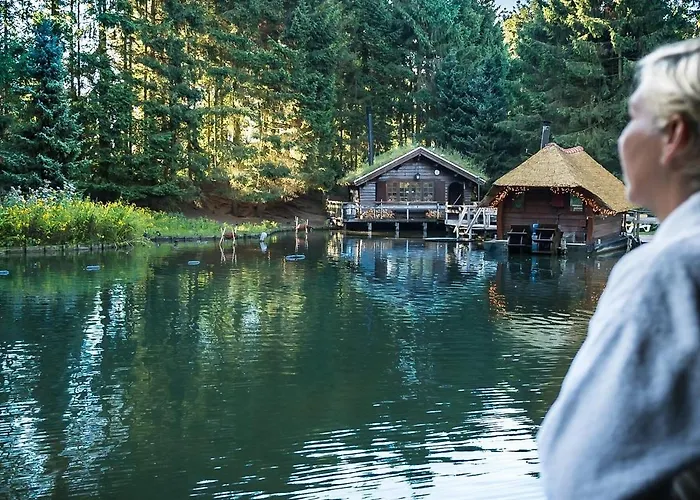 Bos Chalet Natura - Veluwe Putten - naast Saunadrome - 2 gratis e bikes Chalet *